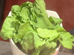 -牛村来人潮汕牛肉火锅(西单店)