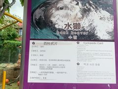 -灵玲国际马戏城
