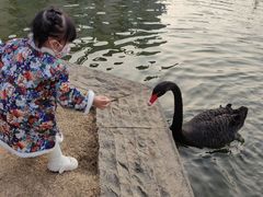 -行者书屋大堂吧 ·下午茶(南京圣和府邸酒店)