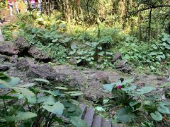 -海口火山口国家地质公园