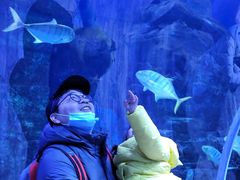 -华夏文旅海洋公园