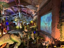-恐龙探索乐园(磁器口店)