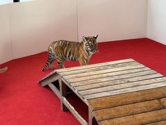 -秦皇岛野生动物园