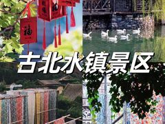 -桔子文创·企业团建·活动策划·拓展会议