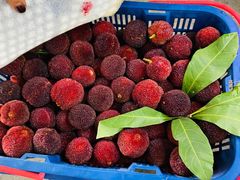 -江杨农产品批发市场