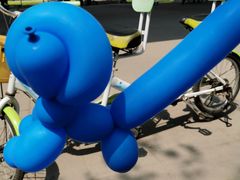 -长白岛森林公园