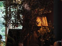 -咖法森林·咖啡  酒吧(天河店)