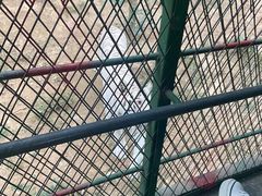 -五龙山野生动物王国