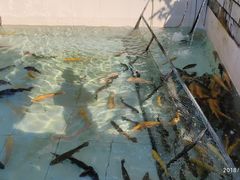 -钰田大院·碳烤虹鳟鱼·怀柔地道农家菜(雁栖湖店)
