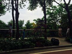 -金鸡山公园