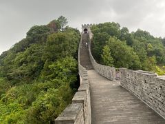 -黄贤森林公园