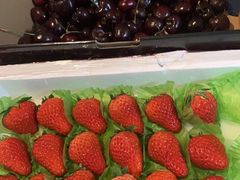 -红星农博物流中心