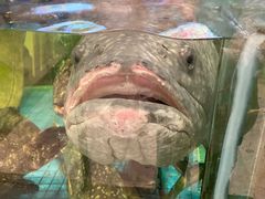 -聚福宝合苑食府(南头镇店)