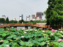 -黄兴公园