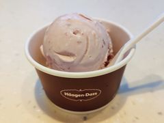 -哈根达斯(龙湖时代天街店)