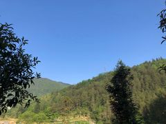 -铁山坪森林公园