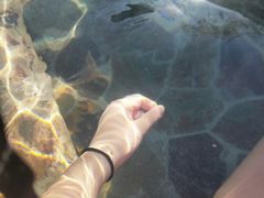 -中家鑫园温泉酒店鑫悦汤泉