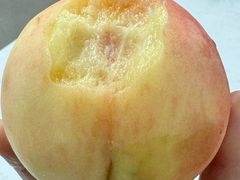 -南汇新场正宗水蜜桃采摘