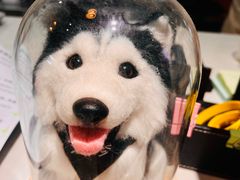 -Husky Go! 哈士奇体验馆·宠物咖啡厅狗咖