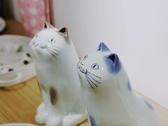 -猫里有甜