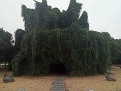 -上海月湖雕塑公园