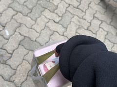 -珍妮曲奇聪明小熊(上环店)