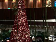 -北京望京凯悦酒店The Lounge大堂酒廊