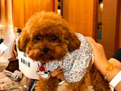 -深圳皇庭V酒店