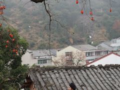 -楠溪江风景名胜区