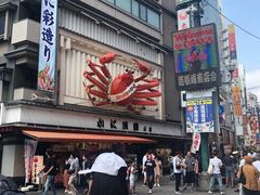 -蟹道乐(道顿堀本店)