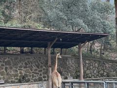 -杭州动物园