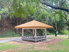 -大雁山风景区