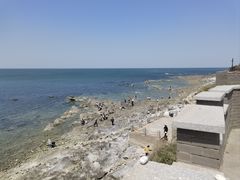 -养马岛旅游度假区