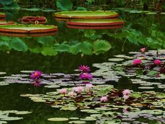 -国家植物园南园
