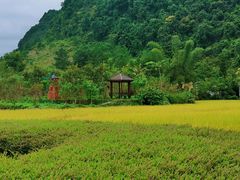 -靖西鹅泉风景区
