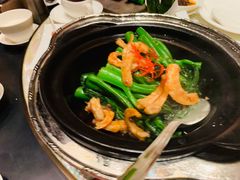 者者芥蓝-8餐厅(新葡京酒店)