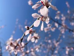 -北京十三陵国家森林公园蟒山景区