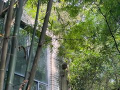 -鹿野苑石刻艺术博物馆