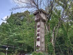 -南山植物园