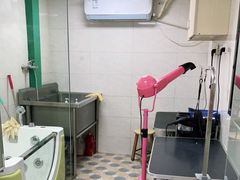 -乐琪宠物医院·犬猫专科·骨外科·急重症