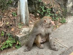 -黔灵山公园