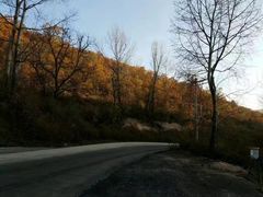 -照金香山旅游景区