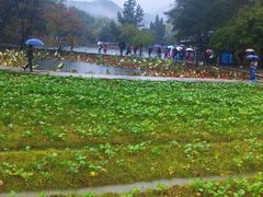 -韶山毛泽东同志故居