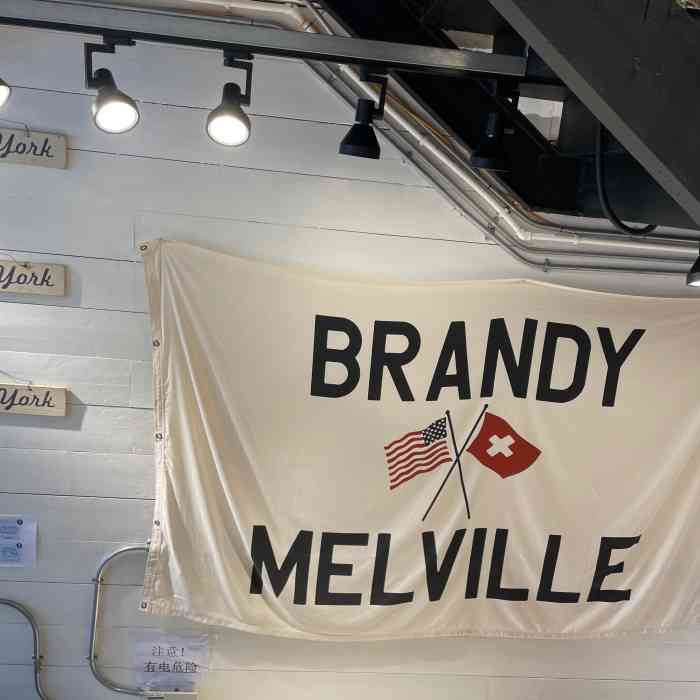 brandy melville-"[钻石]朋友知道我在上海让我一定要去,也.