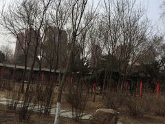-万泉公园