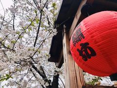 -上海科技馆(地铁站)