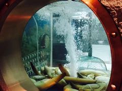 -辉哥火锅(虹桥路店)