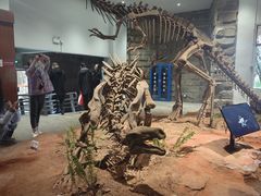 -自贡恐龙博物馆