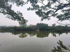 -江心屿景区
