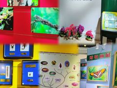 -上海昆虫博物馆